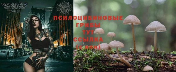 прущий лед Саяногорск
