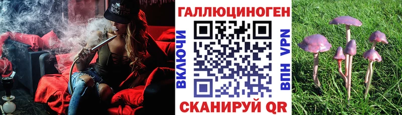 купить  цена  Мглин  Галлюциногенные грибы ЛСД 